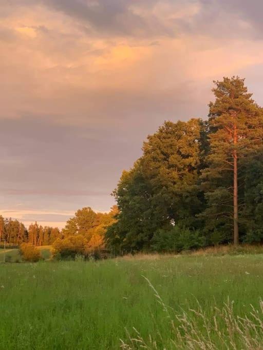 Prijemna Chaloupka Na Trebonsku Villa Chlum u Trebone Bagian luar foto
